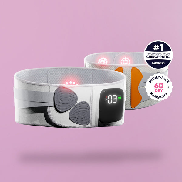 Back support belt